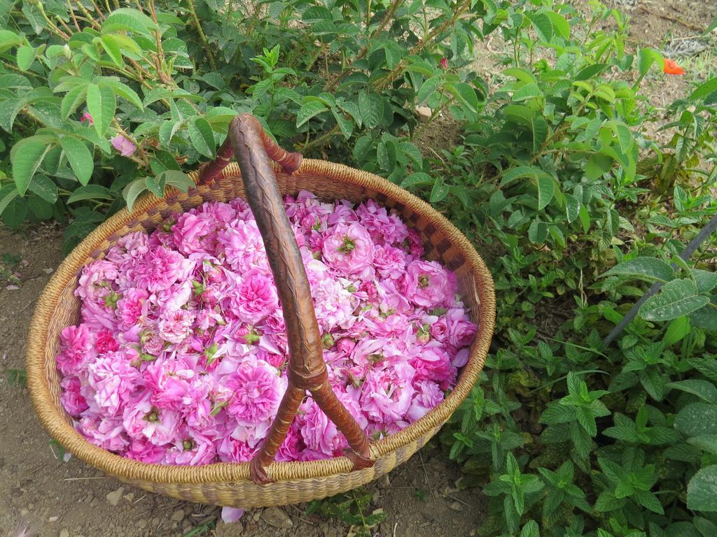 Camping Fiori Di Noto Luaran gambar