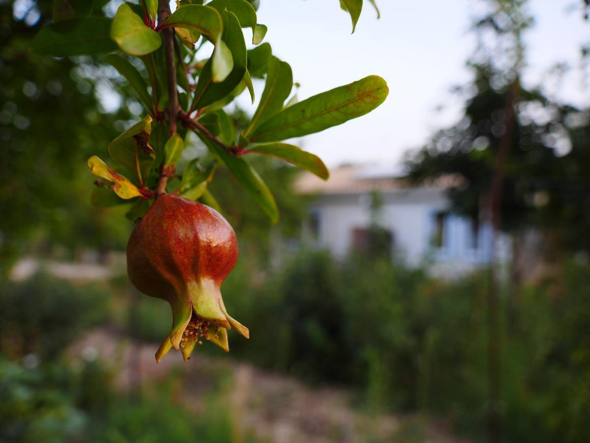Camping Fiori Di Noto Luaran gambar