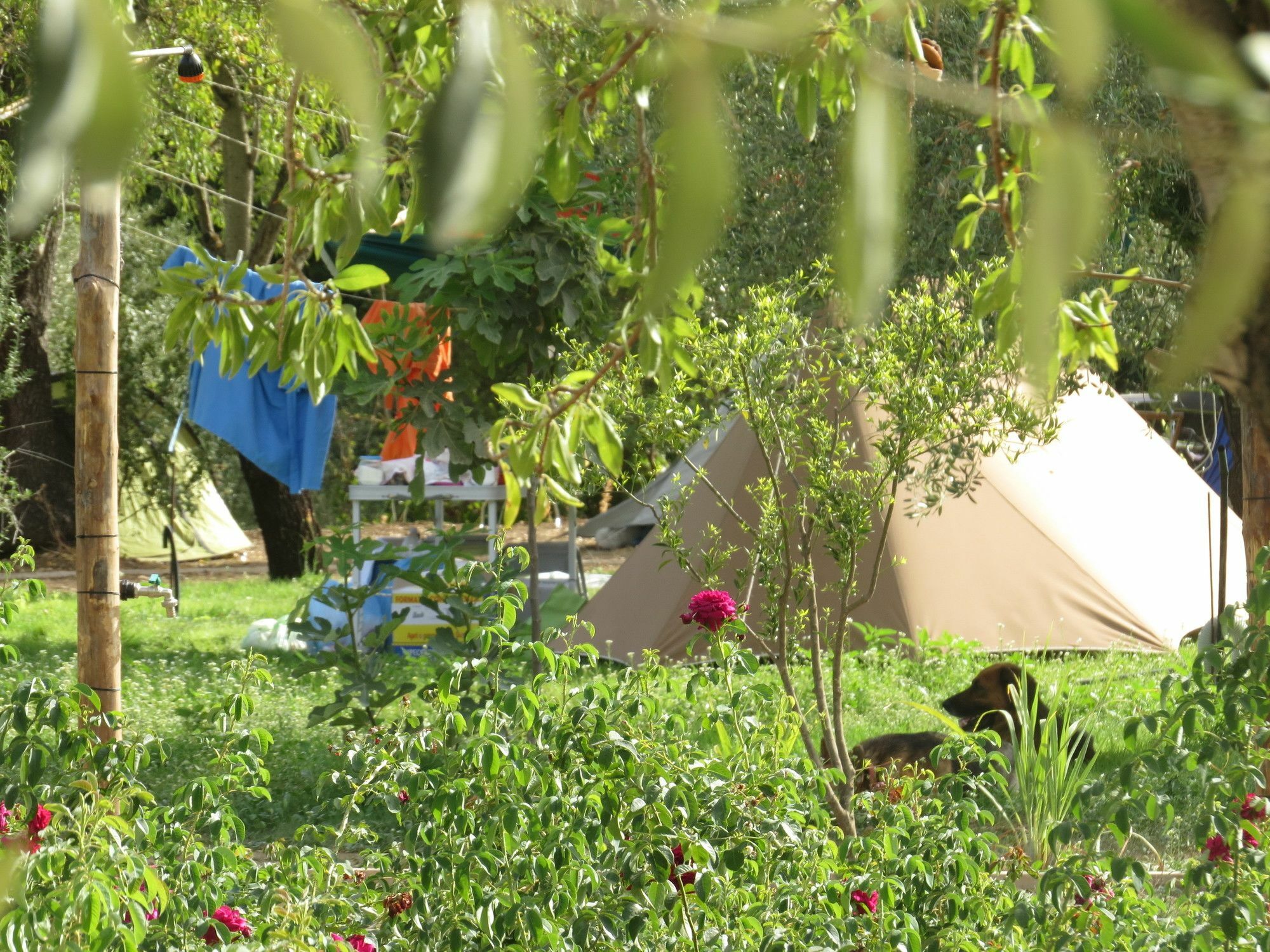 Camping Fiori Di Noto Luaran gambar
